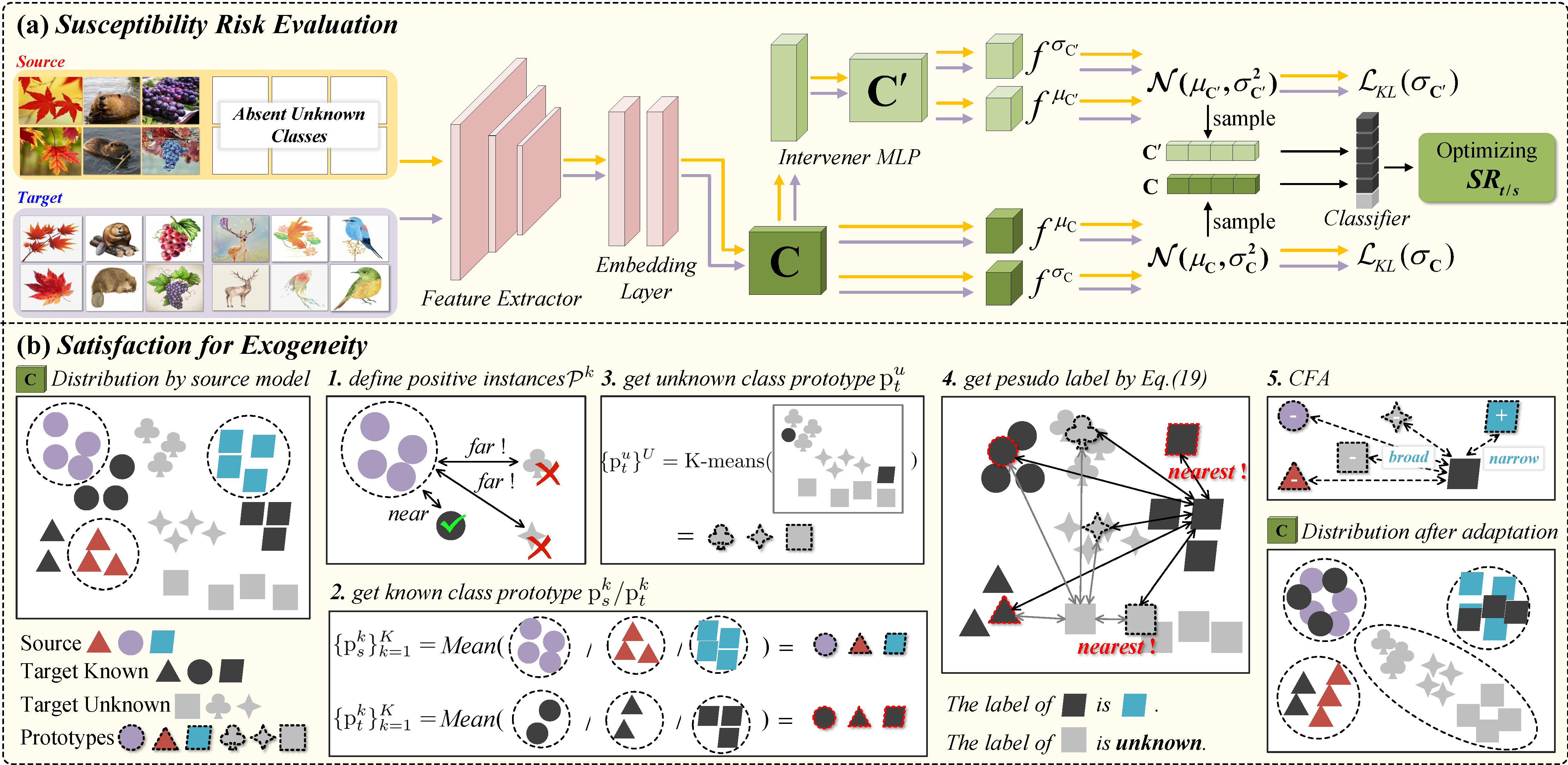 image info